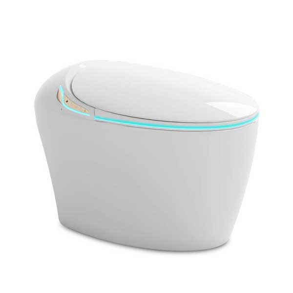 Bồn cầu Ecod điện tử EBS339