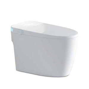 Bồn cầu Ecod điện tử EBS669