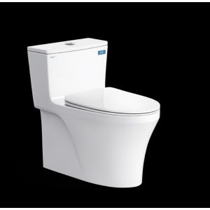 Bàn cầu một khối HL2