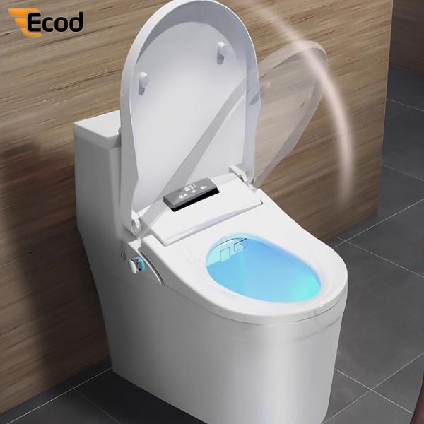 Nắp rửa điện tử aebn1806