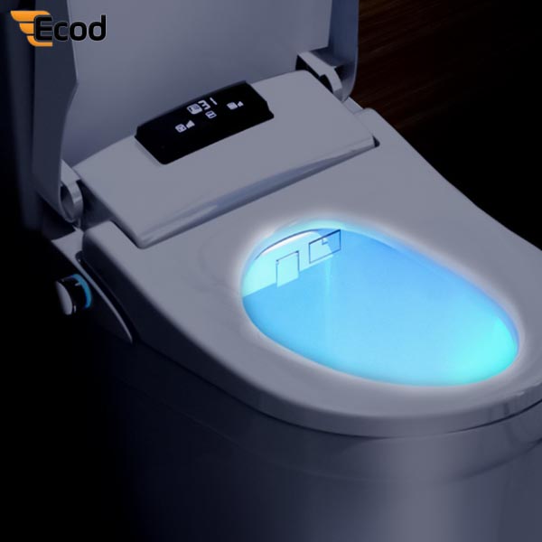 Nắp rửa điện tử EBN1806