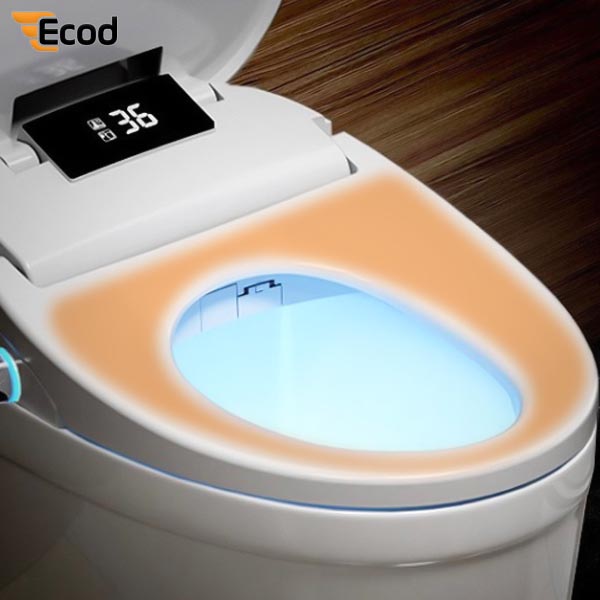 Nắp rửa điện tử EBN1807
