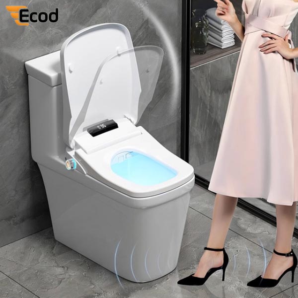 Nắp rửa điện tử EBN1808