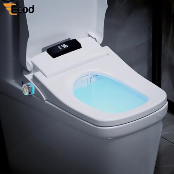 Nắp rửa điện tử EBN1808