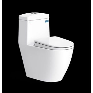 Bàn cầu một khối V199