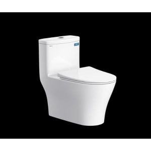 Bàn cầu một khối V36