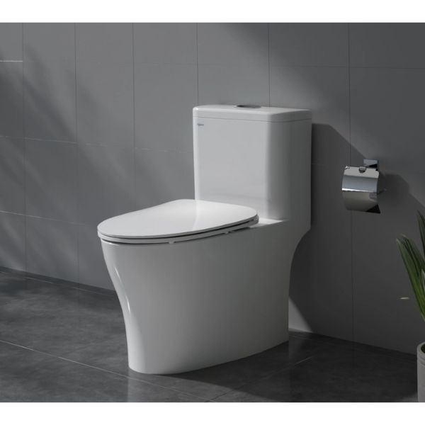 Bàn cầu một khối V63