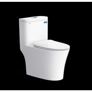 Bàn cầu một khối V63