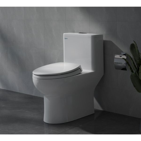 Bàn cầu một khối V64