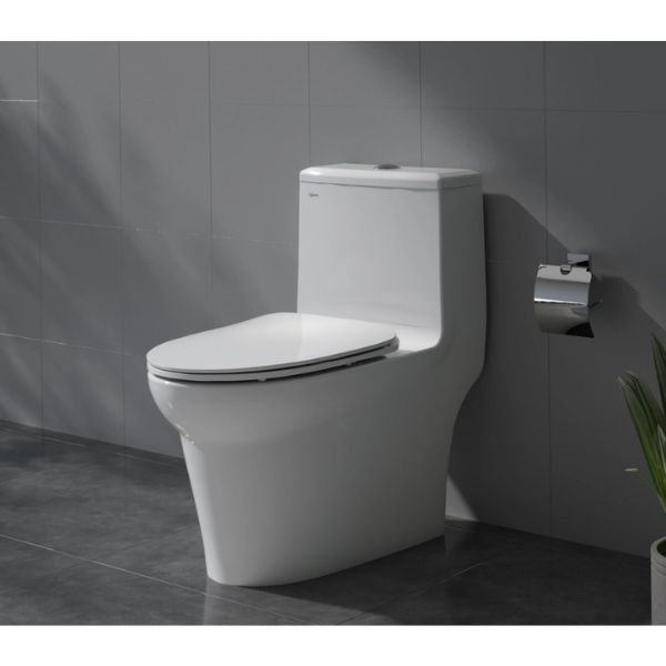 Bàn cầu một khối V65