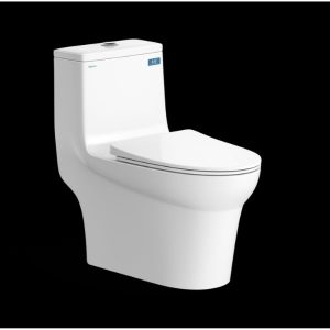 Bàn cầu một khối V65