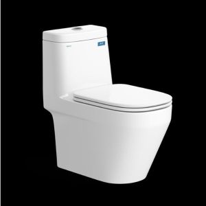 Bàn cầu một khối V68