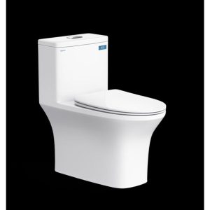 Bàn cầu một khối V72