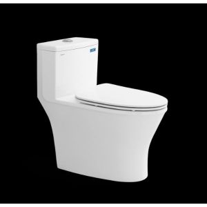 Bàn cầu một khối V803