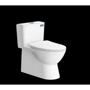 Bàn cầu một khối V808