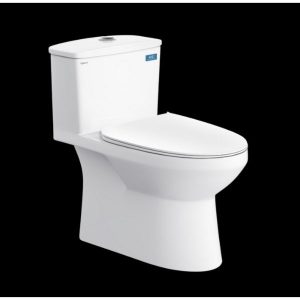 Bàn cầu một khối V811