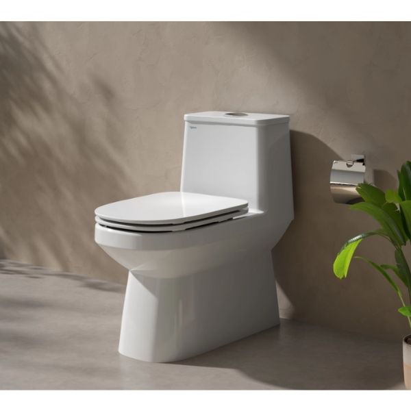 Bàn cầu một khối V816