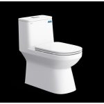 Bàn cầu một khối V816