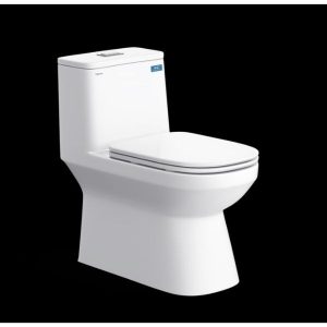 Bàn cầu một khối V816