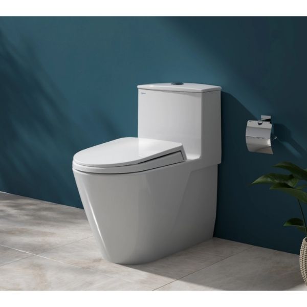 Bàn cầu một khối V817