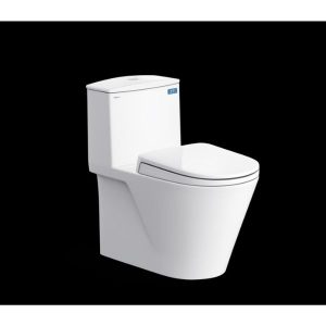 Bàn cầu một khối V817