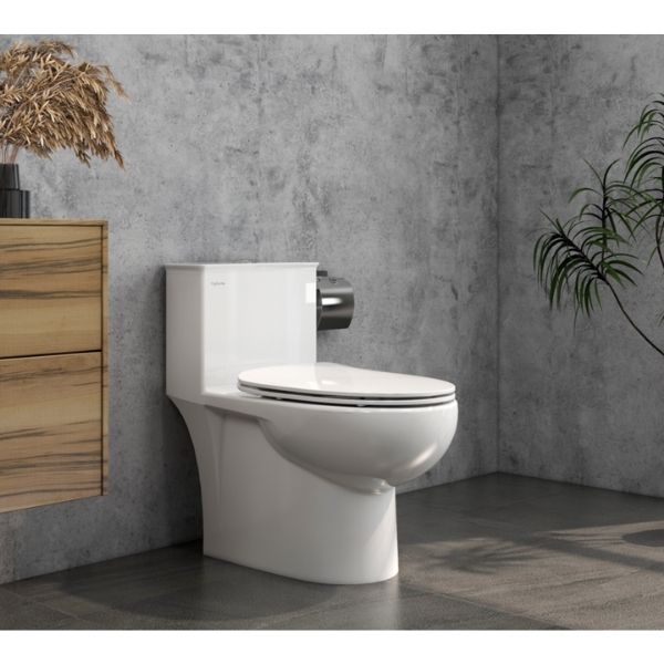 Bàn cầu một khối V819