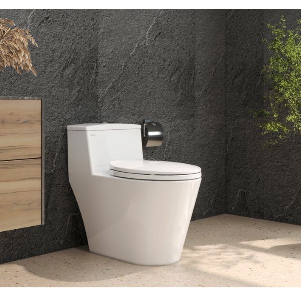 Bàn cầu một khối V823