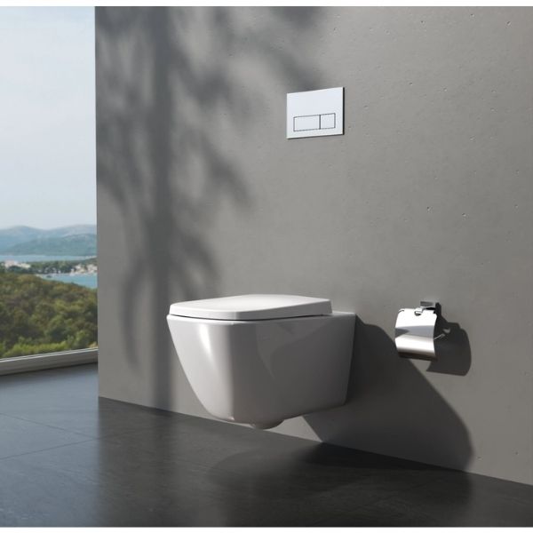 Bàn cầu treo tường V901