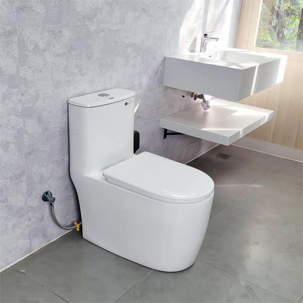 Bồn cầu Ecod liền khối EB555