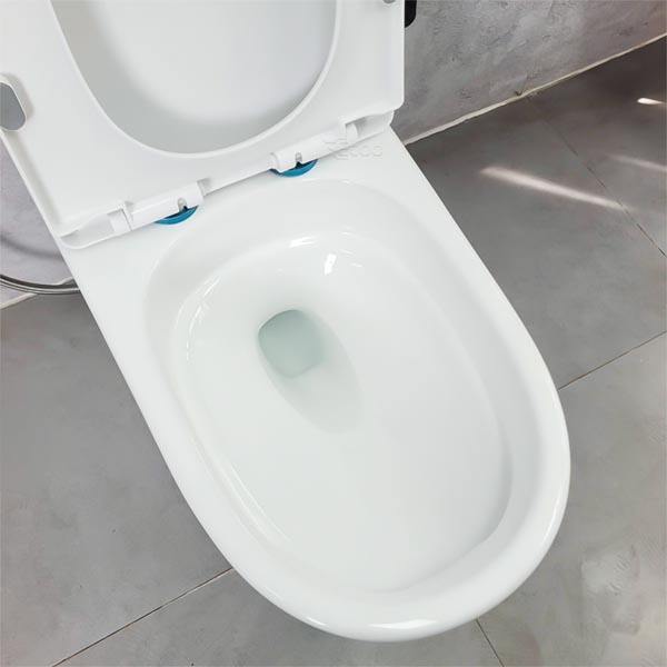 Bồn cầu Ecod liền khối EB555