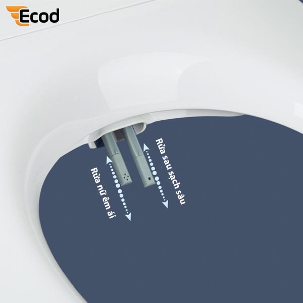 Nắp rửa cơ EBN559R