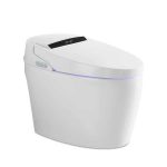 Bàn cầu điện tử EBS589