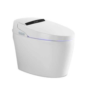 Bàn cầu điện tử EBS589