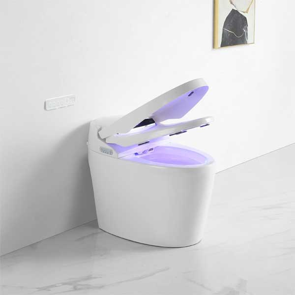 Bàn cầu điện tử EBS589