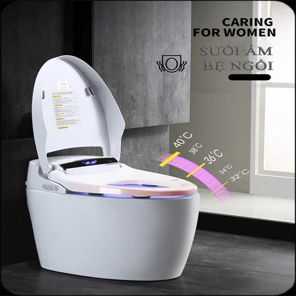 Bàn cầu điện tử EBS589