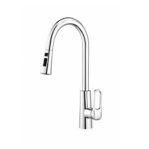 Vòi bếp nóng lạnh cắm chậu rút dây, bát sen 2 chế độ AMY AM1008