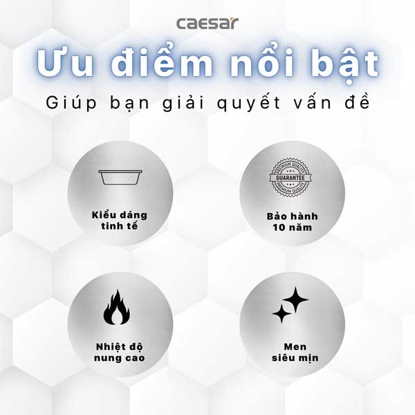 Chậu Rửa Lavabo Treo Tường - Đặt Bàn CAESAR LF5024 