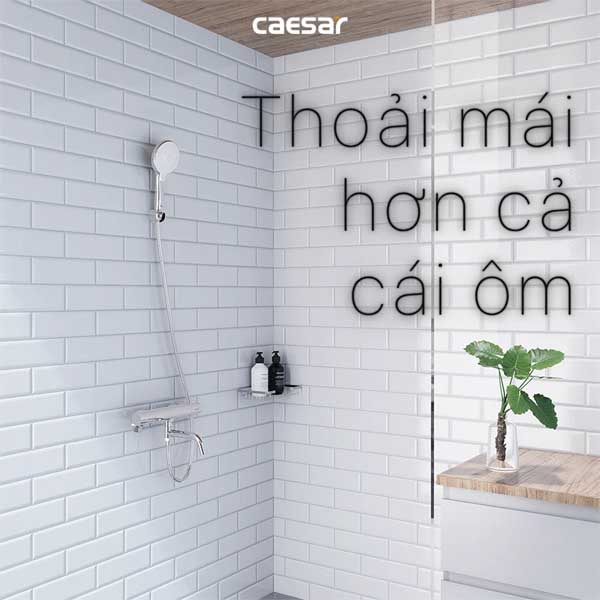 Sen Tắm Nhiệt Độ Caesar TS620