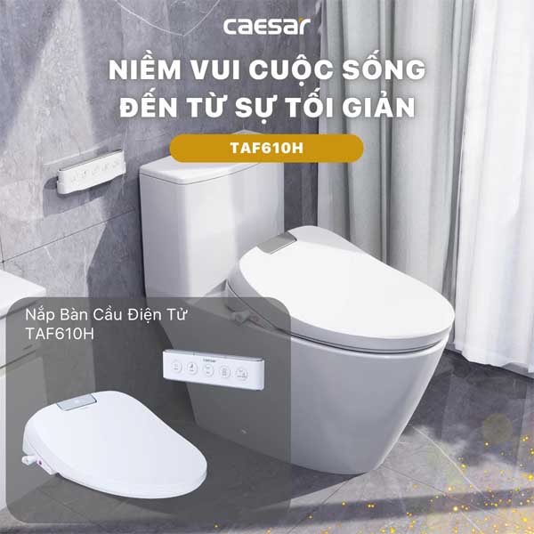Bồn Cầu 2 Khối Kết Hợp Nắp Rửa Thông Minh Caesar CD1341 + TAF610H 