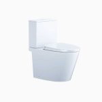 Bồn Cầu 2 Khối Nắp Êm Caesar CD1342