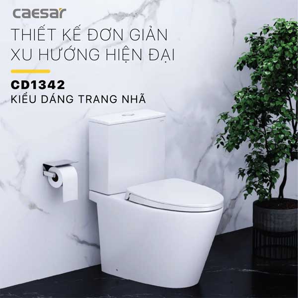 Bồn Cầu 2 Khối Nắp Êm Caesar CD1342