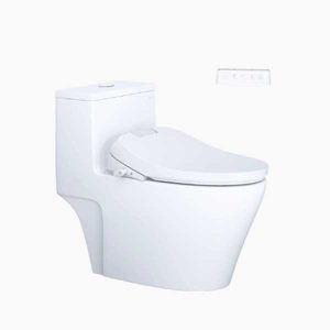 Bồn Cầu 1 Khối Kết Hợp Nắp Rửa Thông Minh Caesar C1356F + TAF610H
