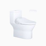 Bồn Cầu 1 Khối Kết Hợp Nắp Rửa Thông Minh Caesar C1374F + TAF610H