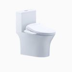 Bồn Cầu 1 Khối Kết Hợp Nắp Rửa Thông Minh Caesar C1391F + TAF400H