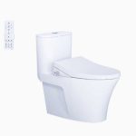 Bồn Cầu 1 Khối Kết Hợp Nắp Rửa Thông Minh Caesar C1395F + TAF512H