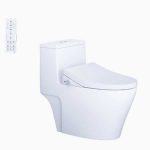 Bồn Cầu 1 Khối Kết Hợp Nắp Rửa Thông Minh Caesar C1356F + TAF512H