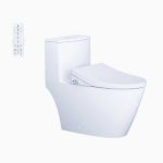 Bồn Cầu 1 Khối Kết Hợp Nắp Rửa Thông Minh Caesar  C1363F + TAF512H