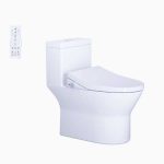 Bồn Cầu 1 Khối Kết Hợp Nắp Rửa Thông Minh Caesar C1374F + TAF512H