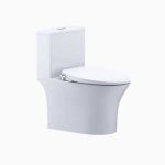Bồn Cầu 1 Khối Kết Hợp Nắp Rửa Cơ Đa Năng Caesar C1391F + TAF060