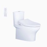 Bồn Cầu 1 Khối Kết Hợp Nắp Rửa Thông Minh Caesar C1394F + TAF512H